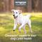 Show in main carousel: Nutramax Cosequin Joint Health Supplement with Glucosamine, Chondroitin, MSM & HA Chewable Tablet for Dogs, 75 count slide 4 of 12