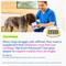 Show in main carousel: Native Pet Hip & Joint Advanced Care Powder Supplement for Dogs, 25.4-oz slide 7 of 11