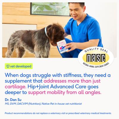 Show full view: Native Pet Hip & Joint Advanced Care Powder Supplement for Dogs, 25.4-oz slide 7 of 11