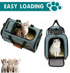 GAPZER Travel Escape Proof Bag Soft Sided Dog & Cat Carrier, Green, 19.7 x 12.5 x 11-in slide 2 of 9
