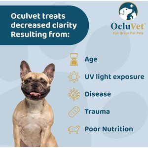 OcluVet Dog & Cat Eye Drops, 16-ml bottle