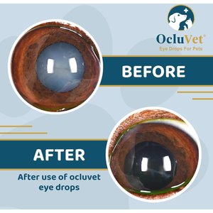 OcluVet Dog & Cat Eye Drops, 16-ml bottle