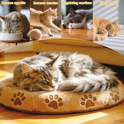 Kseroo Eco-Friendly Loofah Adorable Paw Shape Training Exercise Dental Teaser Wands Chew Cat Toy, Pink/White slide 2 of 8