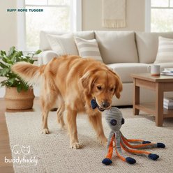 Buddy Buddy Durable Rope Core Octopus Squeaky Plush Dog Toy, Grey, 24-in slide 2 of 5