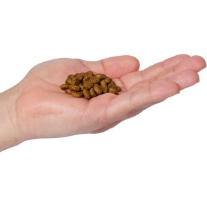 Natural Balance Limited Ingredient Grain-Free Salmon & Green Pea Recipe Dry Cat Food, 10-lb bag