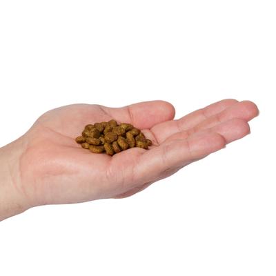 Show full view: Natural Balance Limited Ingredient Grain-Free Salmon & Green Pea Recipe Dry Cat Food, 10-lb bag slide 4 of 10
