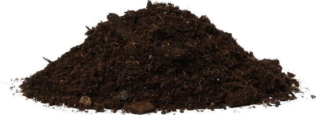 Reptile Soil & Moss | Chewy