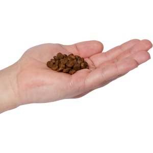 Natural Balance Limited Ingredient Grain-Free Salmon & Sweet Potato Small Breed Bites Recipe Dry Dog Food, 12-lb bag