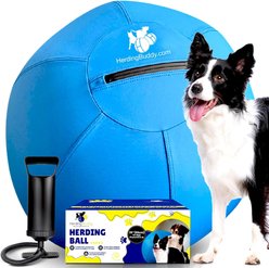Kahu Elements Herding Buddy Ball Set Dog Toy, 25-in