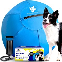 Kahu Elements Herding Buddy Ball Set Dog Toy, 25-in