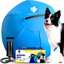 Kahu Elements Herding Buddy Ball Set Dog Toy, 25-in