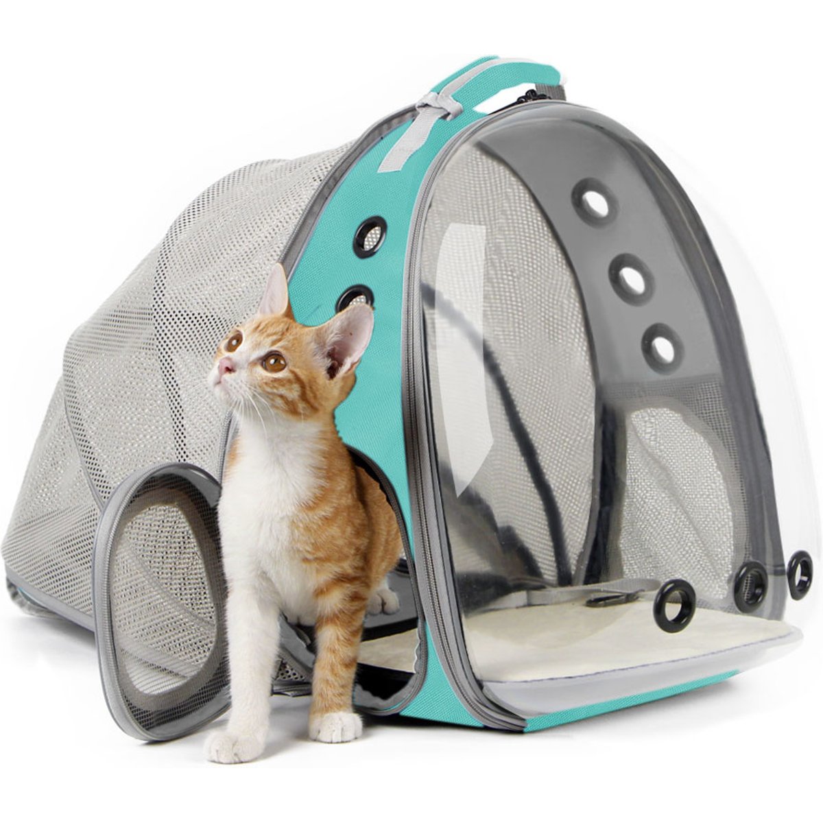 Halinfer Breathable Bubble Cat Backpack Carrier, Green