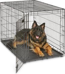 MidWest iCrate Fold & Carry Single Door Collapsible Wire Dog Crate, 48 inch slide 1 of 9