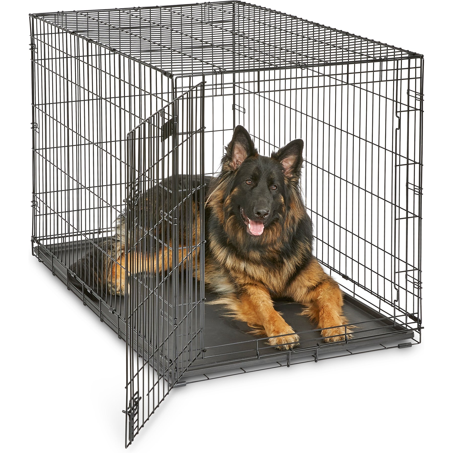 MidWest iCrate Single Door Fold & Carry Dog Crate, 48-in