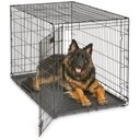 MidWest iCrate Fold & Carry Single Door Collapsible Wire Dog Crate, 48 inch