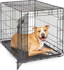 MidWest iCrate Fold & Carry Single Door Collapsible Wire Dog Crate, 36 inch