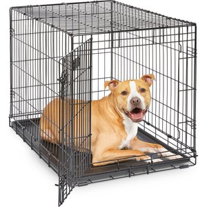 MidWest iCrate Fold & Carry Single Door Collapsible Wire Dog Crate, 36 inch
