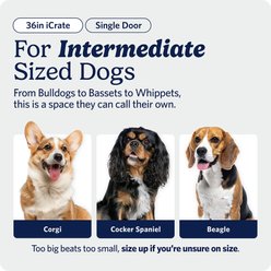 MidWest iCrate Fold & Carry Single Door Collapsible Wire Dog Crate, 36 inch slide 2 of 9