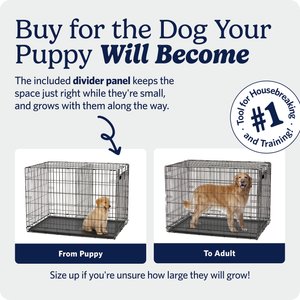 MidWest iCrate Fold & Carry Single Door Collapsible Wire Dog Crate, 24 inch