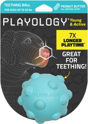 Playology Peanut Butter Scented Young & Active Teething Ball Dog Toy, Medium