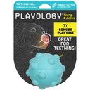 Playology Peanut Butter Scented Young & Active Teething Ball Dog Toy, Medium
