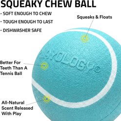 Playology Peanut Butter Scented Squeaky Chew Ball Dog Toy, Medium slide 2 of 6