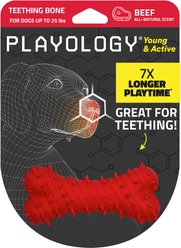 Playology Beef Scented Young & Active Teething Bone Dog Toy, Small