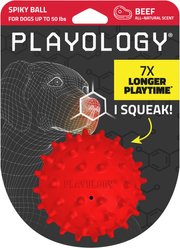 Playology Beef Scented Spiky Squeaky Ball Dog Toy, Medium