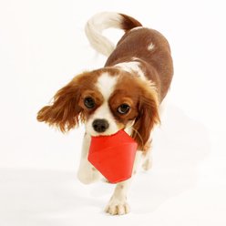 Playology Beef Scented Squeaky Chew Cone Dog Toy, Jumbo slide 2 of 6