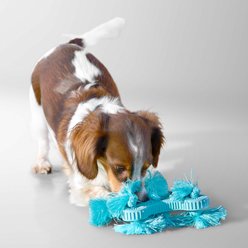 Playology Peanut Butter Scented Young & Active Teething Triangle Dog Toy, Jumbo slide 2 of 6