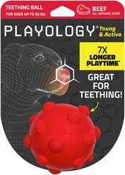 Playology Beef Scented Young & Active Teething Ball Dog Toy, Medium