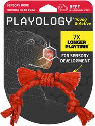 Playology Beef Scented Young & Active Sensory Rope Dog Toy, Small,