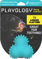 Playology Peanut Butter Scented Young & Active Teething Bounce Ball Dog Toy, Medium