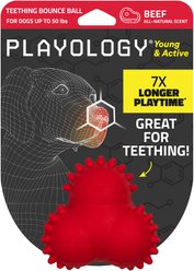 Playology Beef Scented Young & Active Teething Bounce Ball Dog Toy, Medium