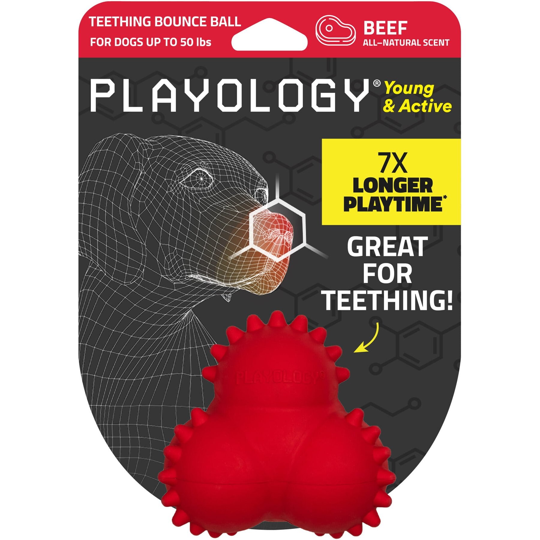 Playology Beef Scented Young & Active Teething Bounce Ball Dog Toy, Medium
