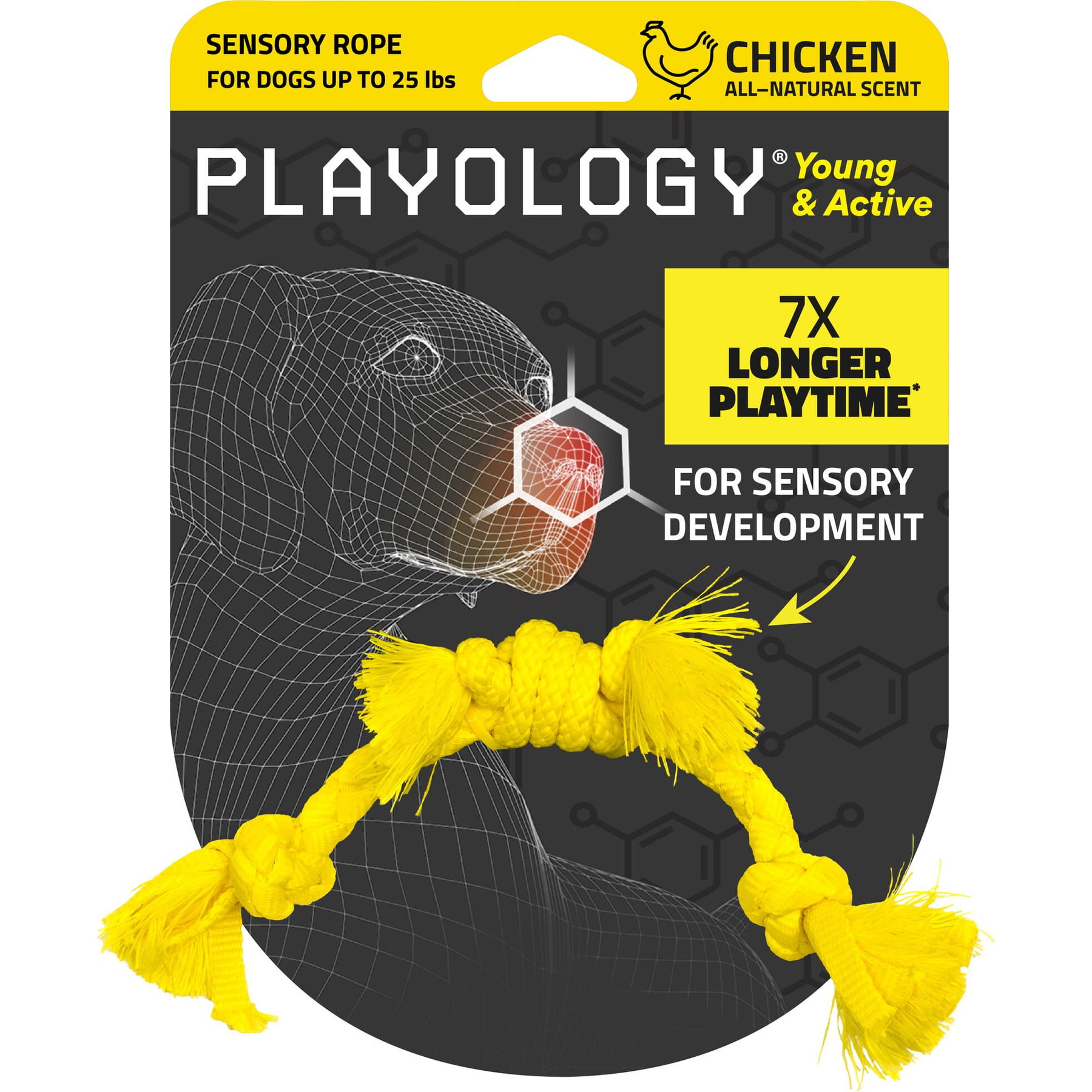 Playology Chicken Scented Young & Active Sensory Rope Dog Toy, Small
