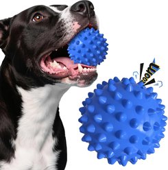 Kseroo Bacon Flavor Spiked Rubber Squeaky Tough Chew Ball Dog Toy, Blue