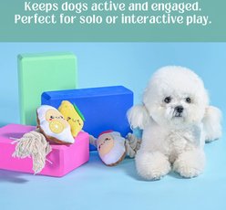 HugSmart Oyster & Lemon Plush with Rope Tug Dog Toy, Medium slide 2 of 5