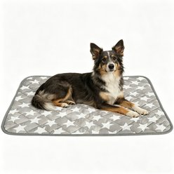 Golopet Self Color Changing Cooling Pad, Washable Non-Toxic Summer Blanket Dog Crate Mat, Grey, Large: 30 x 20 -in slide 1 of 9