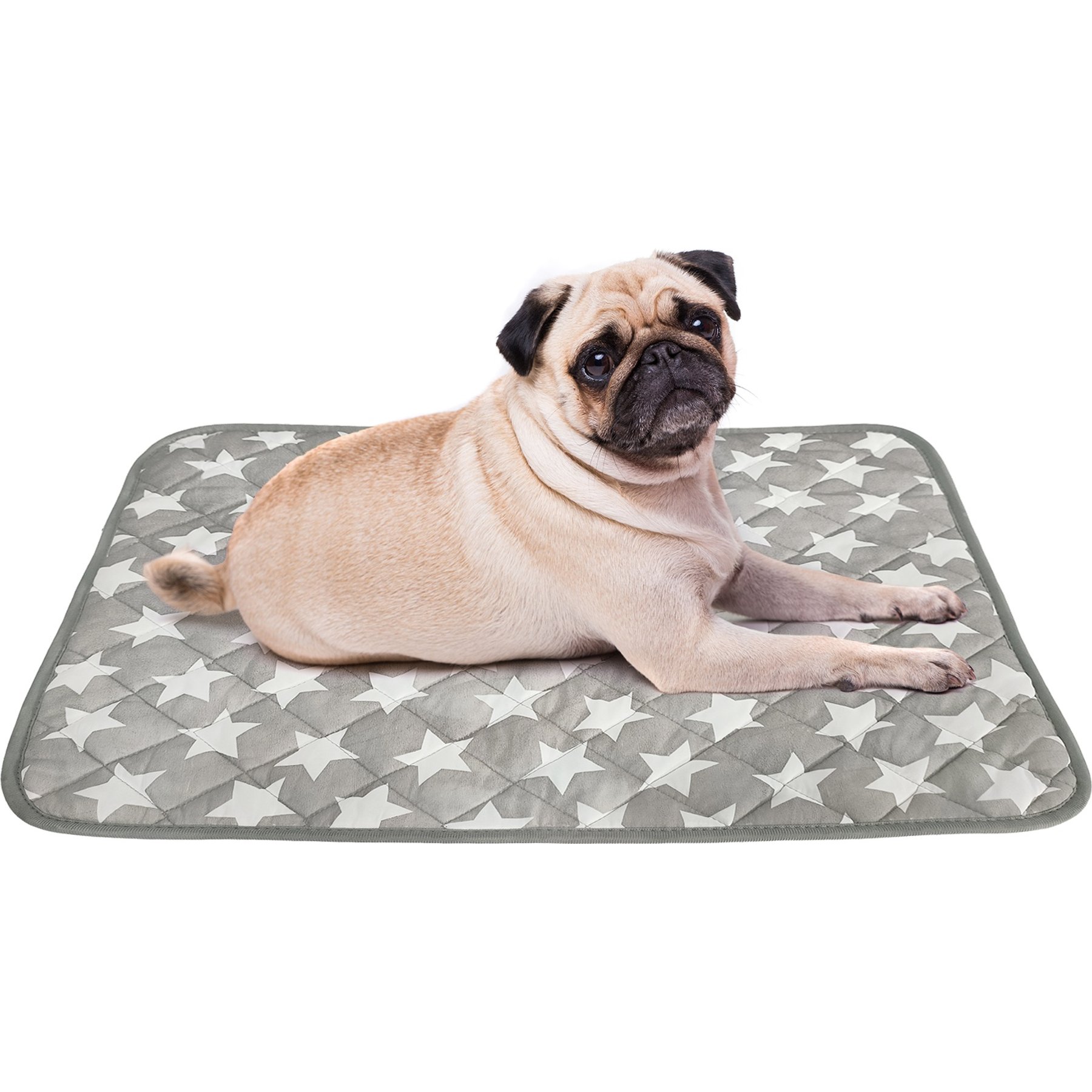 Golopet Self Color Changing Cooling Pad, Washable Non-Toxic Summer Blanket Dog Crate Mat, Grey, Medium: 24 x 18 -in