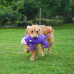 Nala Giant Chuckles Cow Squeaky Plush Dog Toy, Large slide 2 of 5