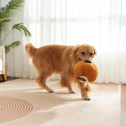 Nala Giant Chuckles Ball Sloth Squeaky Plush Dog Toy, Large slide 2 of 4