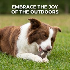 Kseroo Chicken Wing Edible Leather & Durable Nylon Dual-Material Dog Chew Toy, Brown/White, Large slide 2 of 6