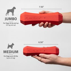 Playology Beef Scented Squeaky Chew Stick Dog Toy, Jumbo slide 2 of 6