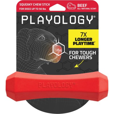 Playology Playology Beef Scented Squeaky Chew Stick Dog Toy, Medium