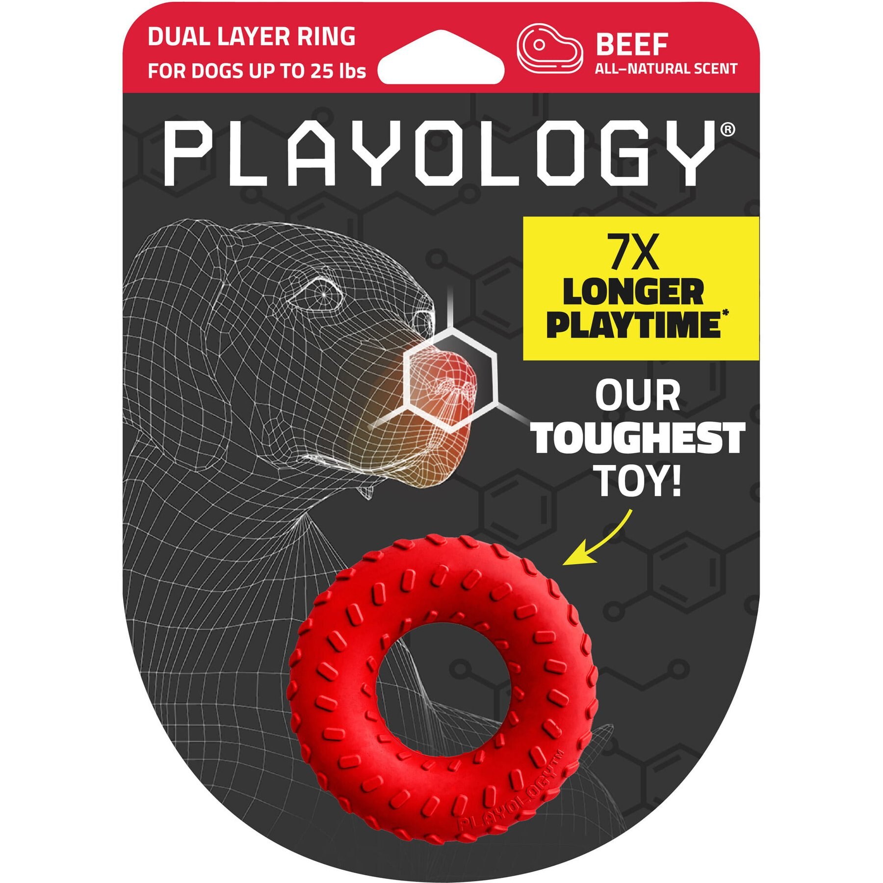 Playology Beef Scented Dual Layer Ring Dog Toy, Small