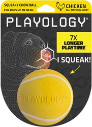Playology Chicken Scented Squeaky Chew Ball Dog Toy, Medium