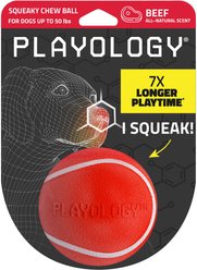 Playology Beef Scented Squeaky Chew Ball Dog Toy, Medium