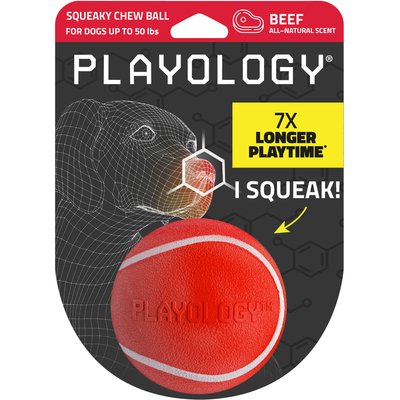 Playology Playology Beef Scented Squeaky Chew Ball Dog Toy, Medium, 2 count