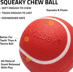 Playology Beef Scented Squeaky Chew Ball Dog Toy, Medium slide 2 of 6